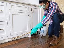 Best Real Estate Pest Inspections  in Bedford, VA